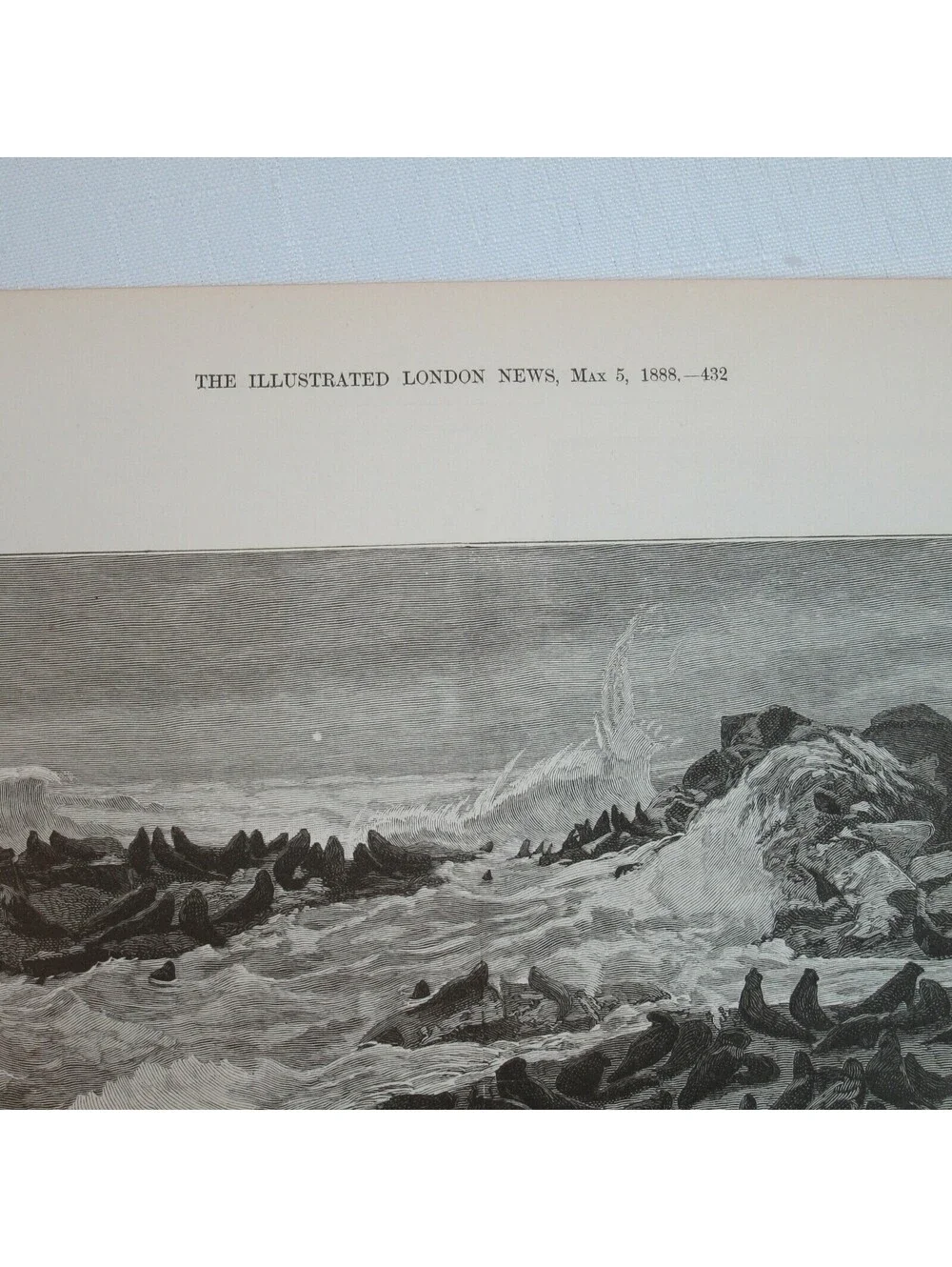 Antique 1888 Print 